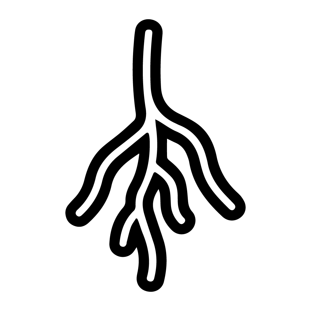 XQuesty logo
